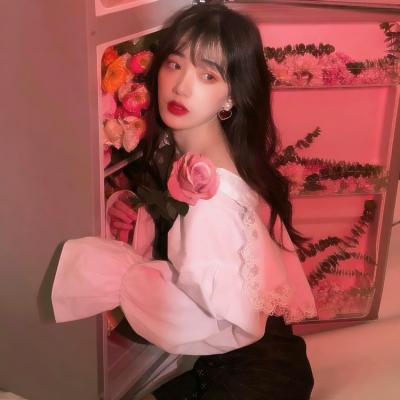 愤怒的小鸟星际飞船