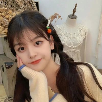 职业飞机挑战赛